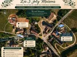 Les 3 joly maisons de charme en champagne