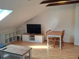 útulný podkrovní byt v centru Třebíče