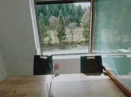 Rina Apartments, Cozy Riverside Apartment in Luče, Near Logar Valley