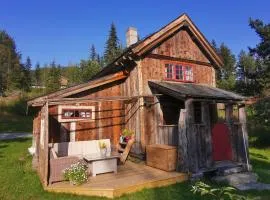 Litteraturtunet, Svinlibrøta overnatting