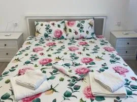 Ioanyk Apartment with parking