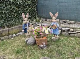 Apartament Rustic