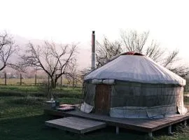 Nomad Yurt, 60 year old