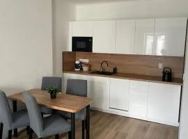 Central Comfort Studio Walkup