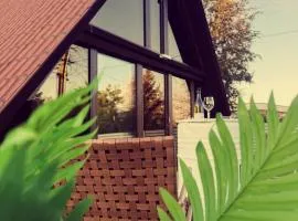 Spicc house