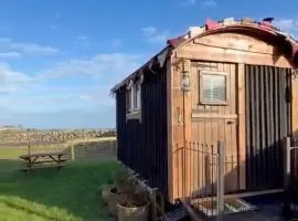 The Black Sheep Shepherd's Hut