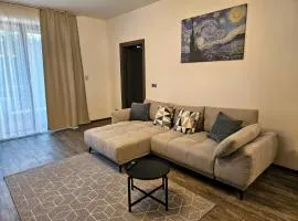 Starry Night Apartment - Silver Mountain