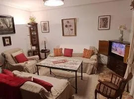 Amplio Apartamento Plaza Nueva