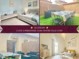 Le Cocon - Rénové, Clim, Terrasse, WIFI, Hypercentre, 5 personnes