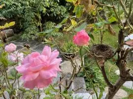 Appartamento LA ROSA