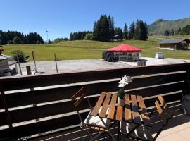 Appartement cosy à la montagne aux pieds des pistes pour 4 personnes et 1 bébé, hotel i Taninges