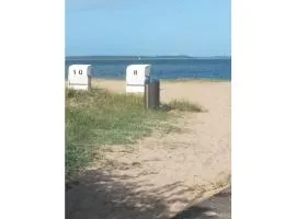 Birdie1