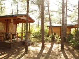 Hubased majakesed sõpruskonnale nr 7 & 8