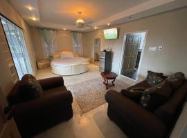 Joy Luxury Estate Villa, Hotel in Kingston