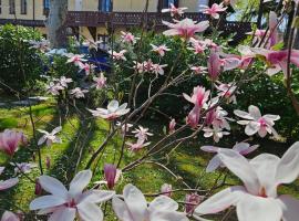 Viesnīca Villa Musik - historical apartments, Baden Bādenē