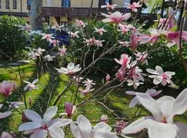 Villa Musik - historical apartments, Baden