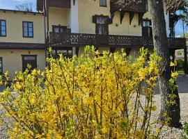 Villa Musik - apartments in historical Villa , Baden