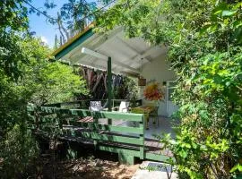 Trupial - The green flamingo