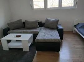Šimanovci- stan na dan