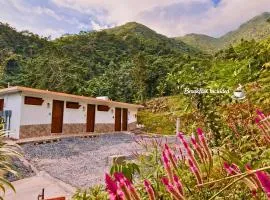 Finca Ki' - Eco Farm Stay Bed & Breakfast - El Yunque Region