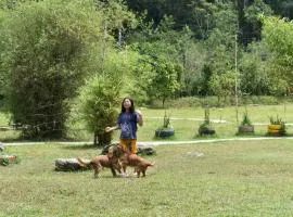 Wetland Homestay Coorg