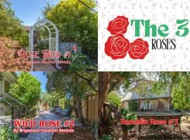 The Roses 3 units in the Heart of the City