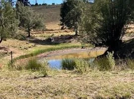 Waterfront Cabin Farm Escape