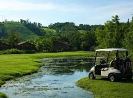 #146 Golf, SkI, Pool Pass Walk to hill