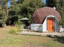 Cabañas Santa Sofía Radal 7 tazas