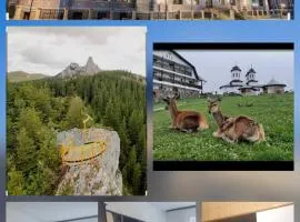 Apartament City Center Dorna