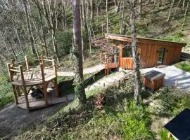 The Toads Hideout - A Cabin in an Ancient Welsh Woodland