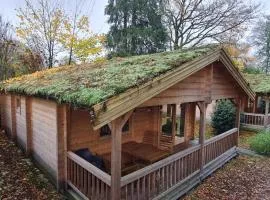 Veluwe - Green Finnish lodge at De IJsvogel - Swimming pools, sauna, sports, kids fun, restaurants, forest, and heath