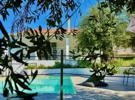 Elea Boutique Villa with private pool by DadoVillas