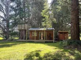 Secluded Redwood Cabin