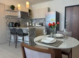 Deluxe Condo Suite 1BR in Panama