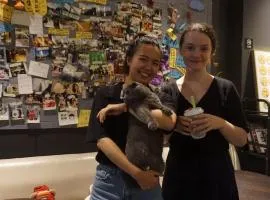 Yangshuo Emoji Youth Hostel -Homemade western breakfast & wakeup for cup of coffee & Free karaoke with beers&Four lovely cats around&All kinds of activities
