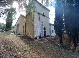 T2 domaine de Nogueres