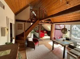 Historische Ferienwohnung mit Sauna und Dachterrasse