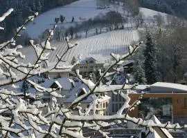 Weingut-Brennerei-Ferienwohnungen Eugen Wissler