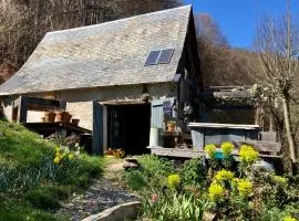 Une nuit en CABANE dans la Forêt