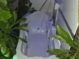 FEHIVILLA RESIDENCE Dhangethi