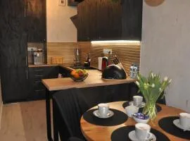 Apartament SANOVA 55