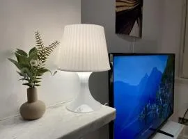 Spacious flat in Central London, only accept BANK wire to the host