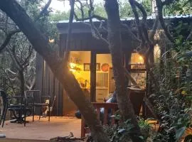 Singbos, Forest Cabin in Kleinbaai
