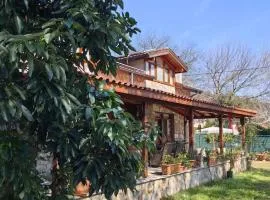 An experience of history and modernity Stone House Concept Mansion