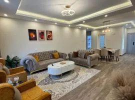 Addis luxury Apartment