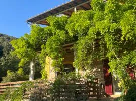 B&B La Fucinaia Pet Friendly Adults only