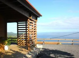 Casa da Camélia