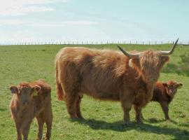 Buttercup Cottage, Hotel in Killean