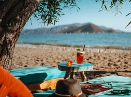 Yonca Lodge, hotel in Fethiye